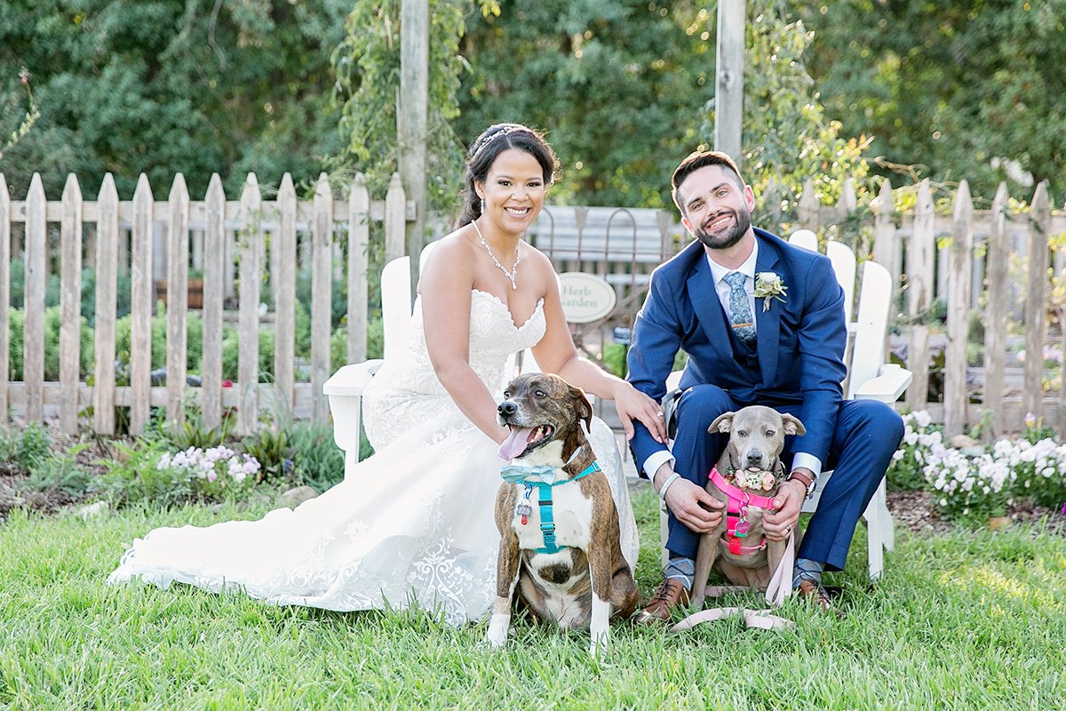 Dog photos by Wedding Photographer Leah Marie Photography + Stationery